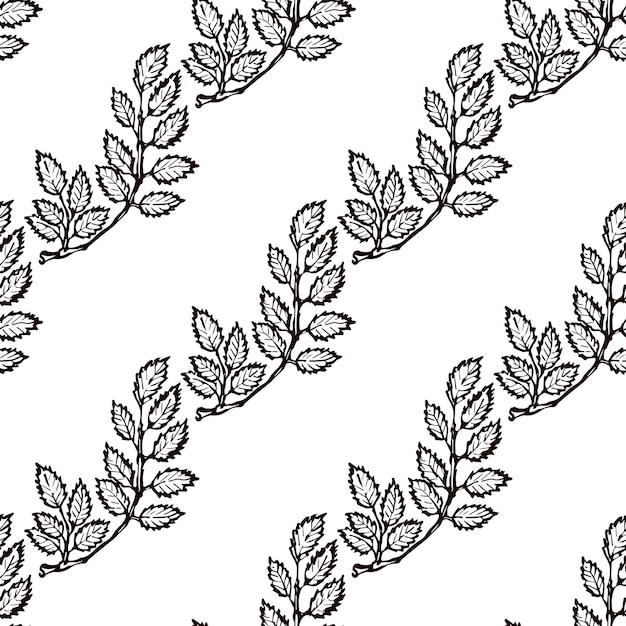 Vector seamless pattern with hand drawn rowan leaves