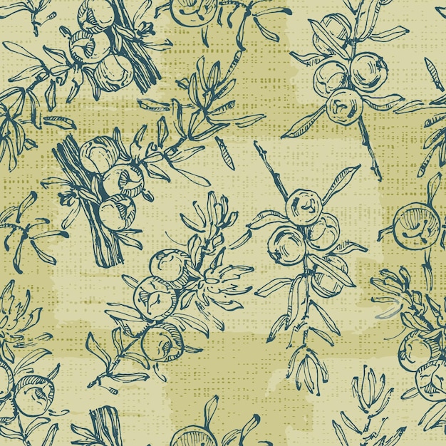 Seamless pattern with hand drawn sketch juniper