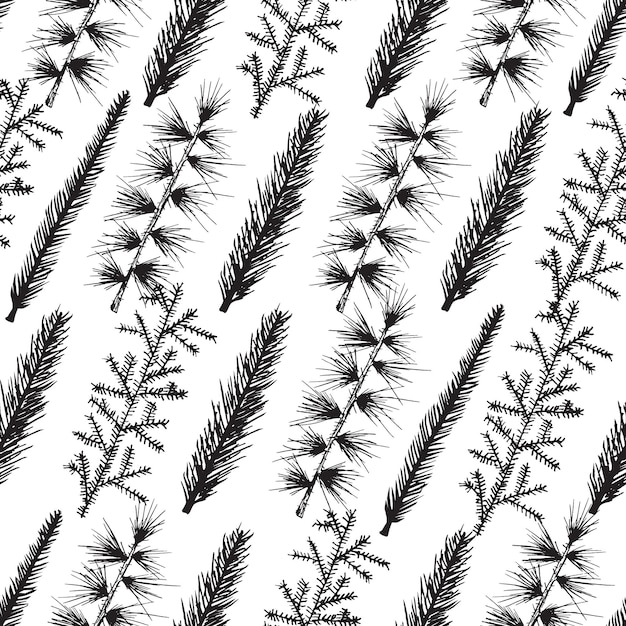 Seamless pattern with hand drawn spruces christmas tree fir branches