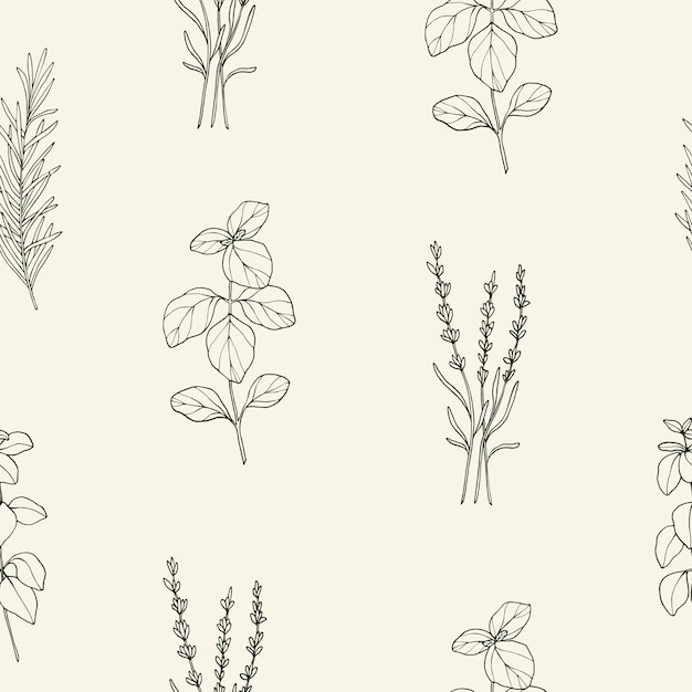 Seamless pattern with herbs and spices