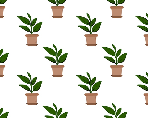 Seamless pattern with home flower in a pot. Ficus.