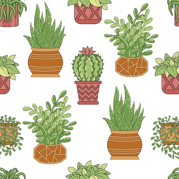 Seamless pattern with home plants ficus chlorophytum cacti and succulents aloe in pots