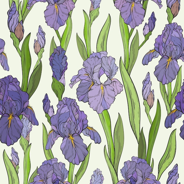 Motivo senza cuciture con fiori di iris sfondo botanico decorativo con stampa floreale primaverile con piante disegnate a mano illustrazione vettoriale