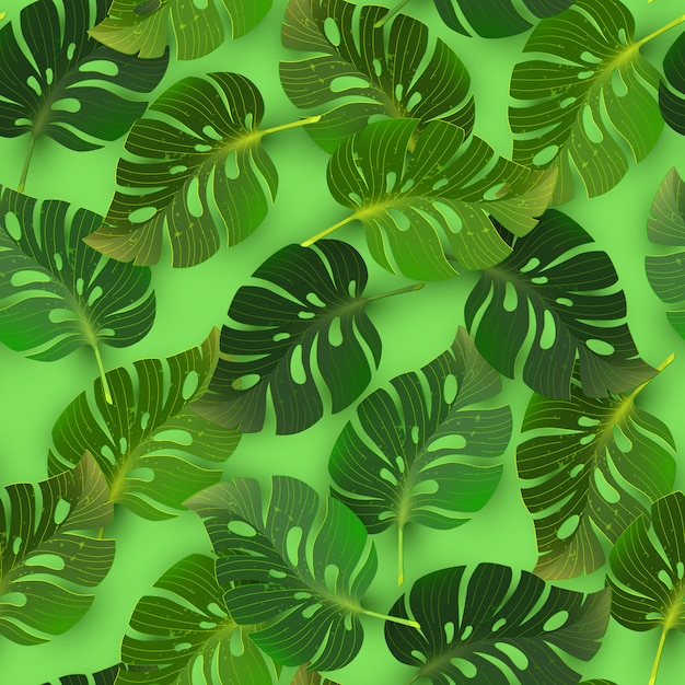 ジャングルの熱帯モンステラとのシームレスなパターンの葉、ベクトルイラスト。