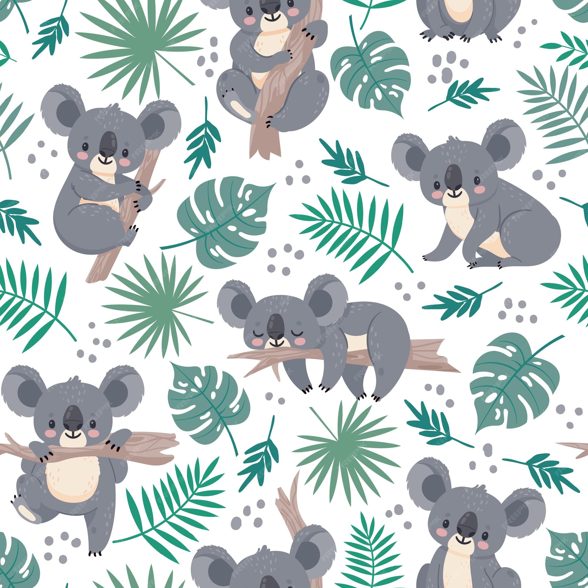 Cute and adorable Koala background cute for your phone and desktop