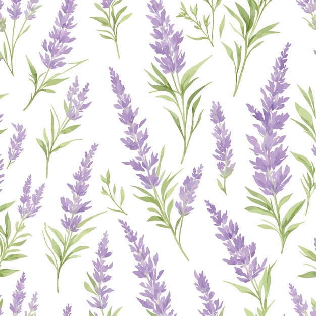 A seamless pattern with lavender flowers on a white background.