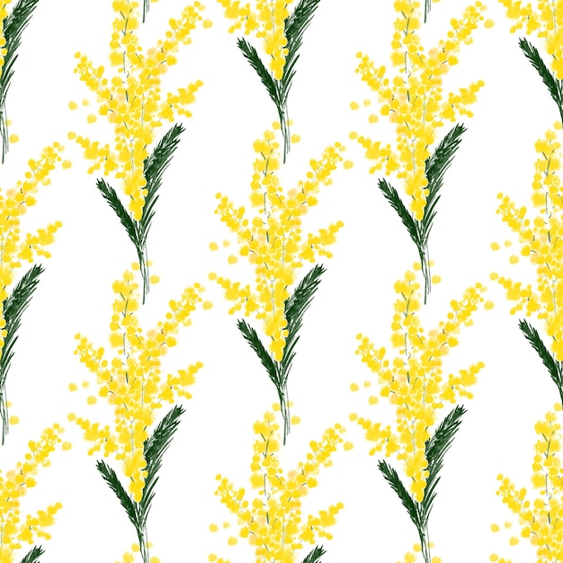 Бесшовный узор с иллюстрацией весеннего цветка мимозы на белом фоне