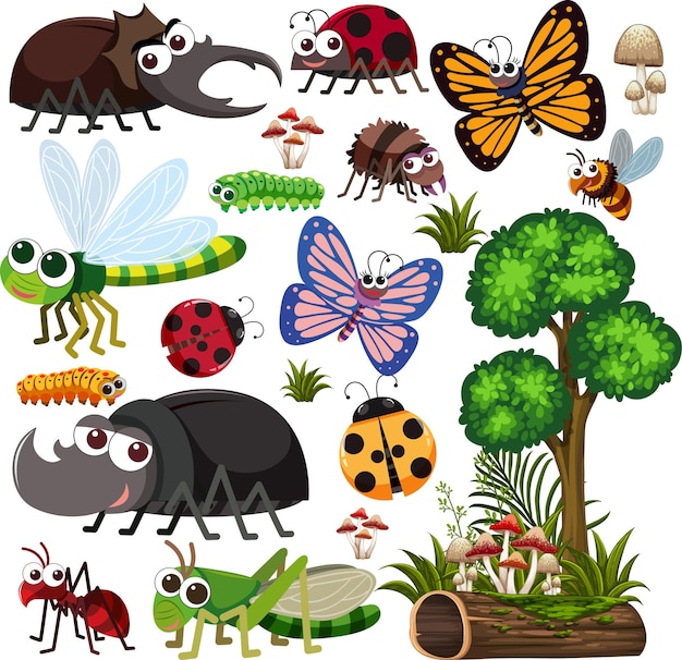 Vector seamless pattern with many different beetles character on white background