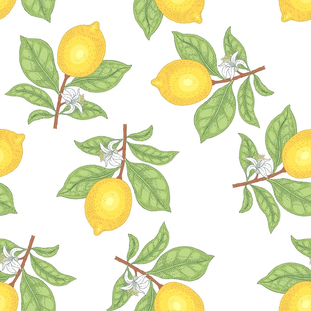 Seamless pattern with medical herbs