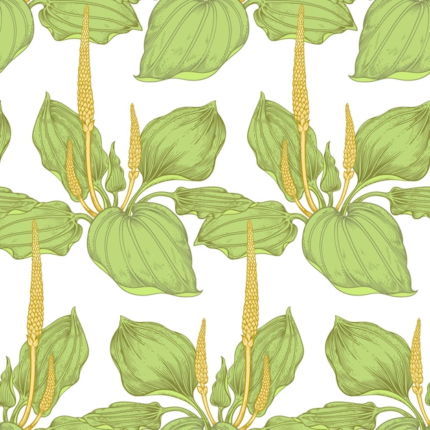 Vector seamless pattern with medical herbs