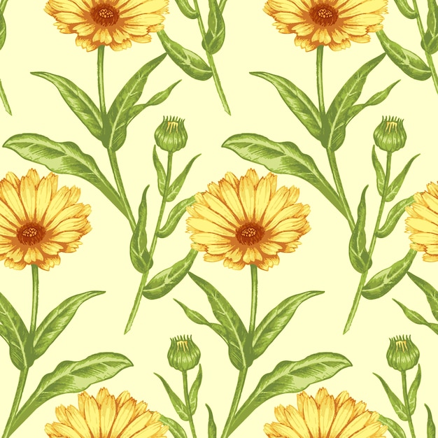 Seamless pattern with medical plants