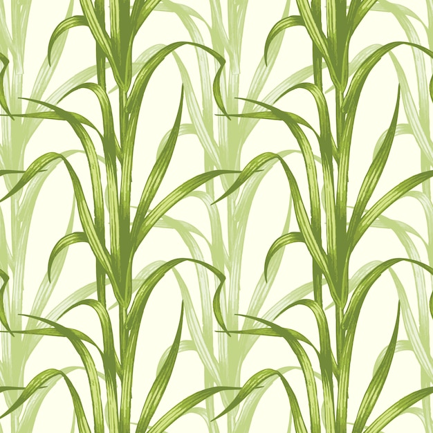 Vector seamless pattern with medical plants