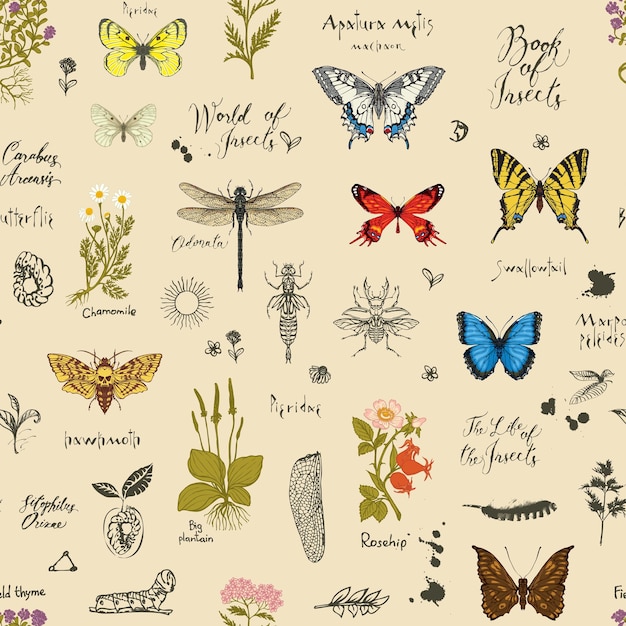 Vector seamless pattern with medicinal herbs and insects