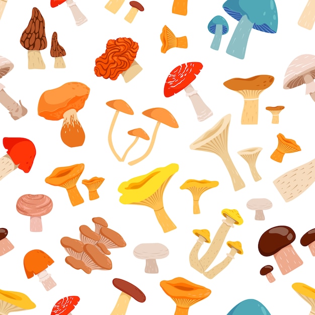 Бесшовный фон с грибами. мультфильм картинки изолировать на белом фоне. лесная грибная осень, векторная иллюстрация
