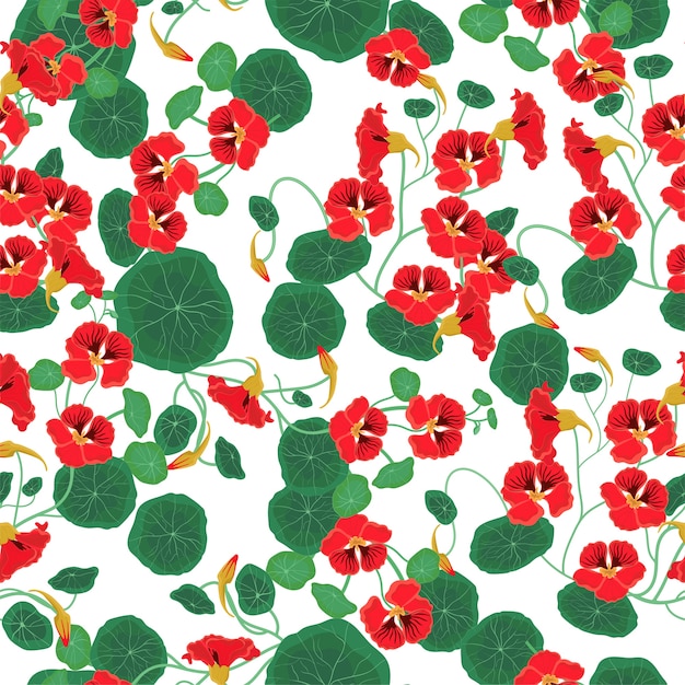 Seamless pattern with nasturtium isolate on a white background.