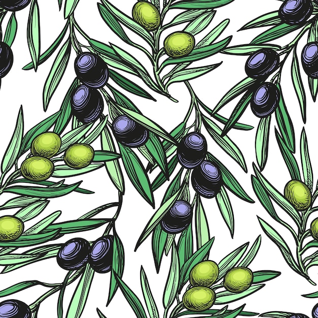 Seamless pattern with olive branch