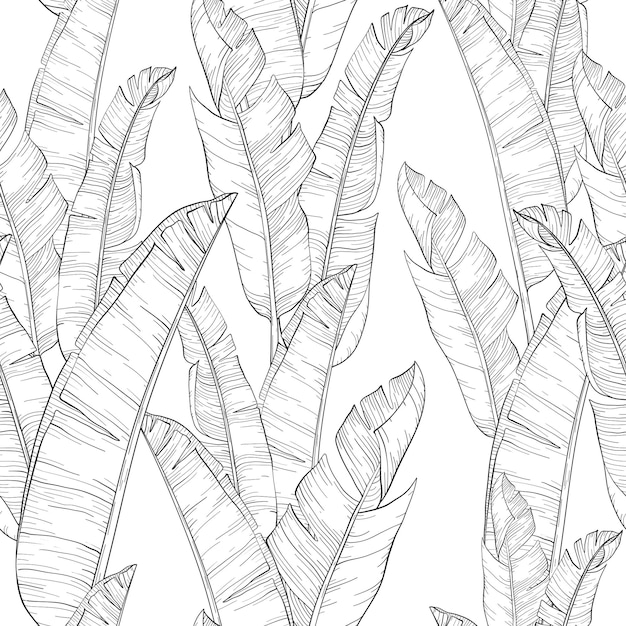 Seamless pattern with palm banana leaf and plants Floral background jungle Black and white