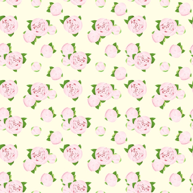 Seamless pattern with pink peonies Delicate flowers