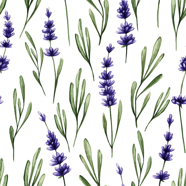 Seamless pattern with purple lavender and green leaves Spring tender background with lilac flowers