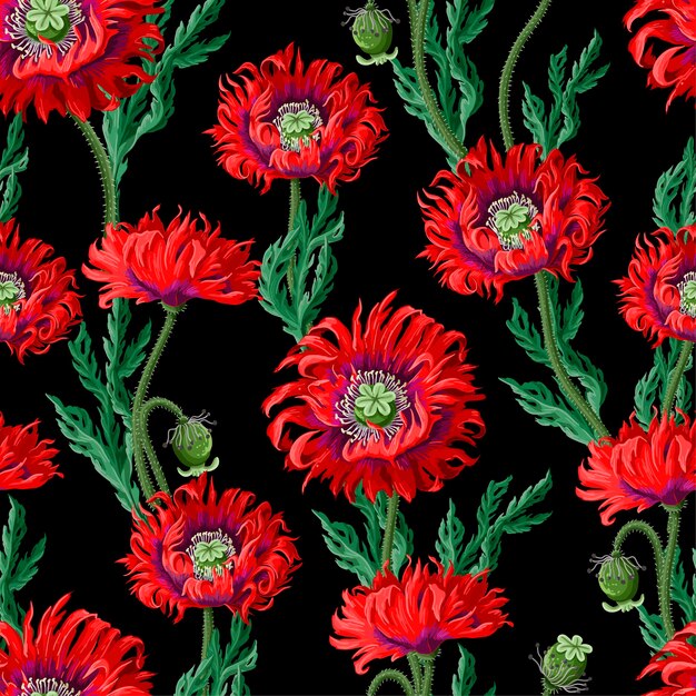 Seamless pattern with red poppies Vector