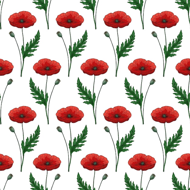 Seamless pattern with red poppy flowers and green leaves Papaver Ornate elegant summer background Decor for Anzac day Endless texture for textile fashion packing