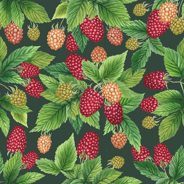 Seamless pattern with ripe and green raspberries and leaves