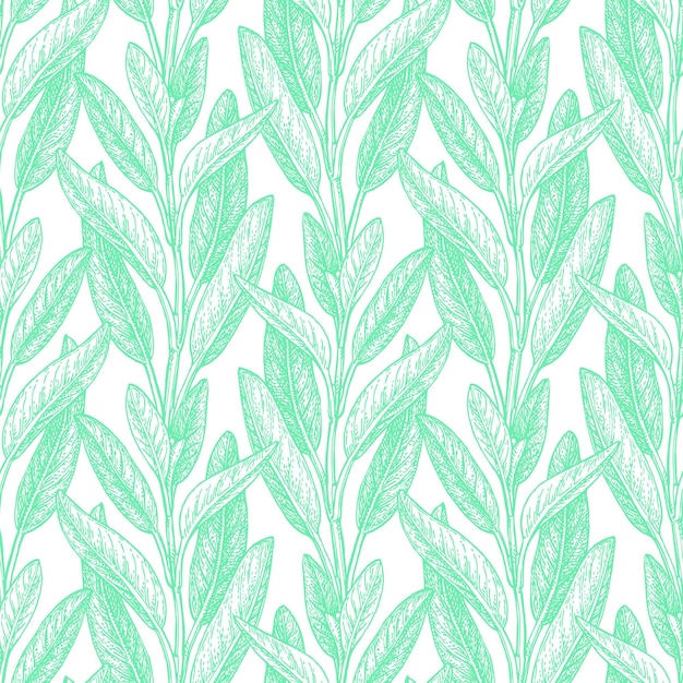 Seamless pattern with sage.