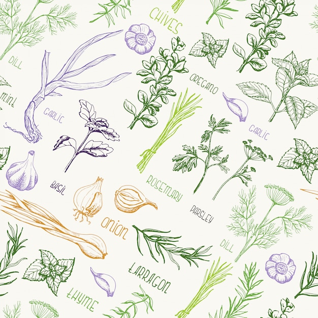 Vector seamless pattern with spices and herbs