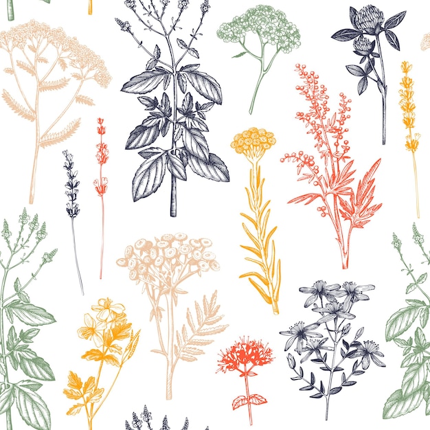 seamless pattern with spices and herbs