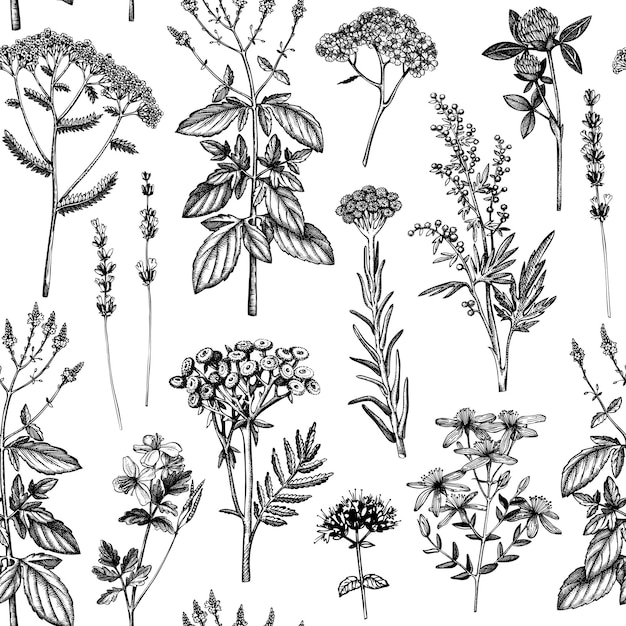 Seamless pattern with spices and herbs