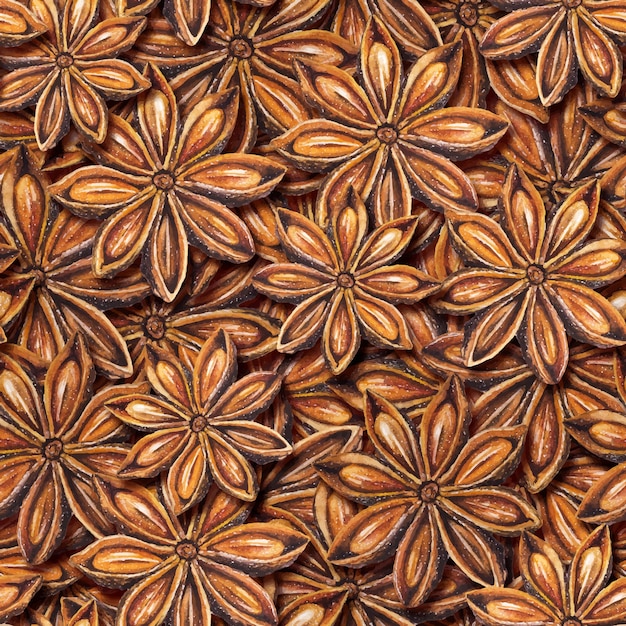 Seamless pattern with star anise