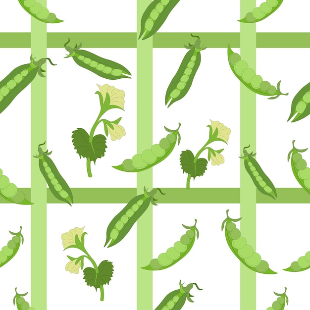 緑のエンドウ豆の鞘の縞模様のシームレスなパターンハーフオープンポッド緑のエンドウ豆の花野菜農産物