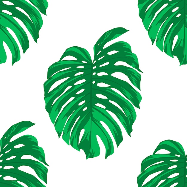 Seamless Pattern with Tropical Leaves on White Repeated Tropical Background Vector Illustration Africa Savannh Exotic Summer Monstera Pattern Tropical Forest Concept