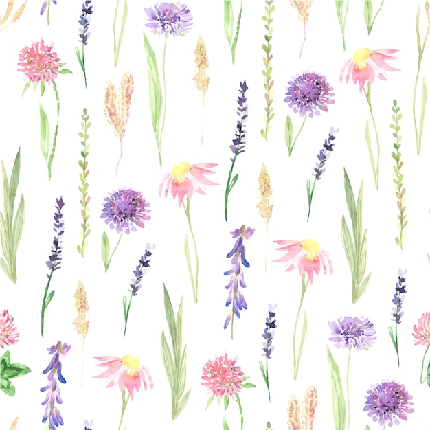 Seamless pattern with watercolor hand painted wildflowers field plants garden herbs