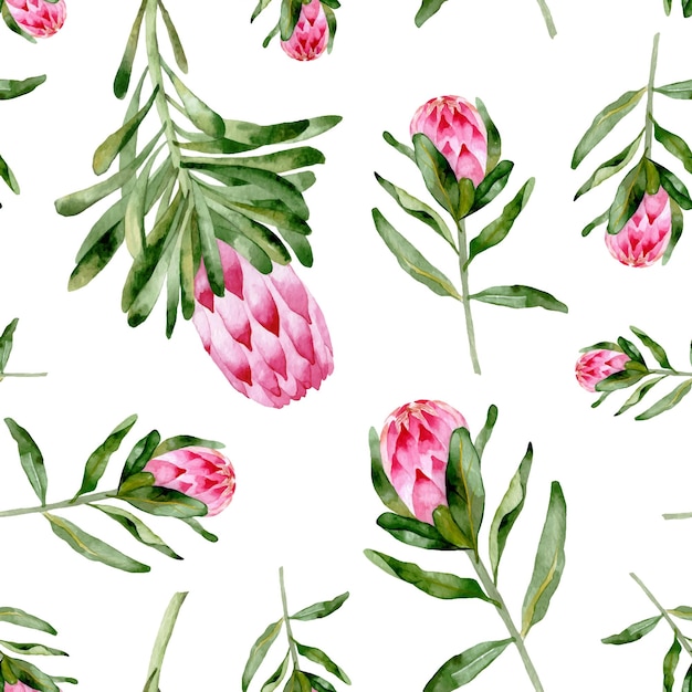 프로테아와 잎의 수채화 손으로 그린 이국적인 꽃과 원활한 패턴