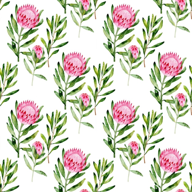 Seamless pattern with watercolor handpainted exotic flowers of protea and leaves