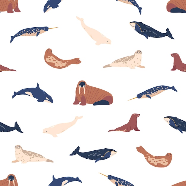 Seamless pattern with whale walrus orca and white whale with narwhal and seal beluga arctic sea animals marine life water creatures cartoon vector horizontal border tile background wallpaper