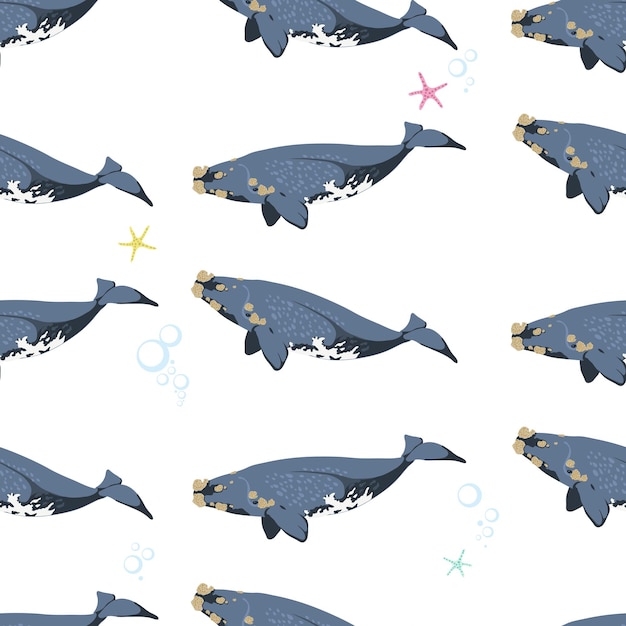 白い背景の上のクジラとのシームレスなパターン。ベクトルイラスト。