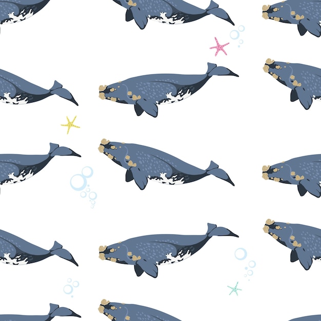 Seamless pattern with whales on white background vector illustration