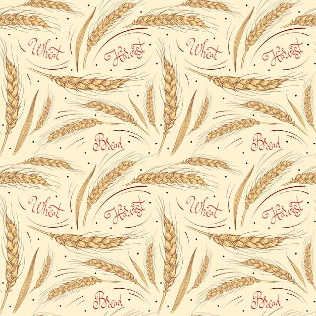 Seamless pattern with wheat harvest