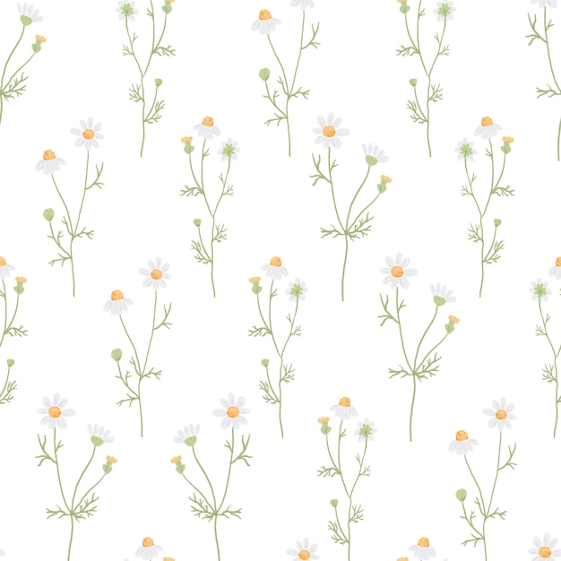 벡터 흰색 카모마일 꽃과 완벽 한 패턴