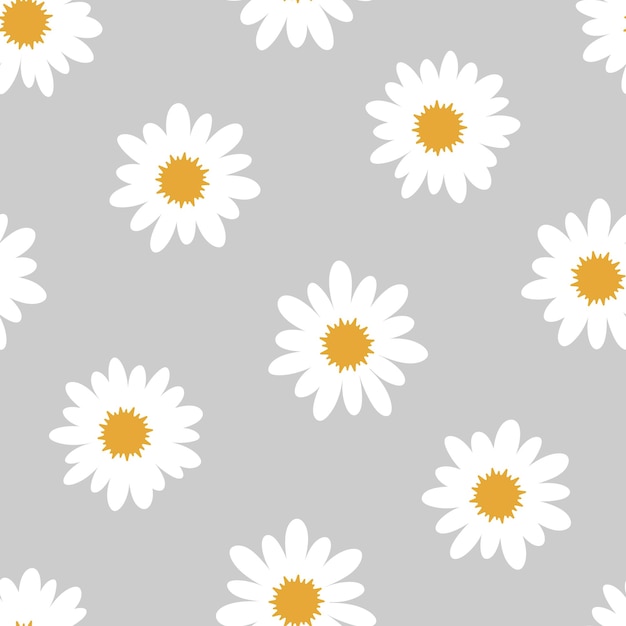 Vector seamless pattern with white daisy flowers and grey background
