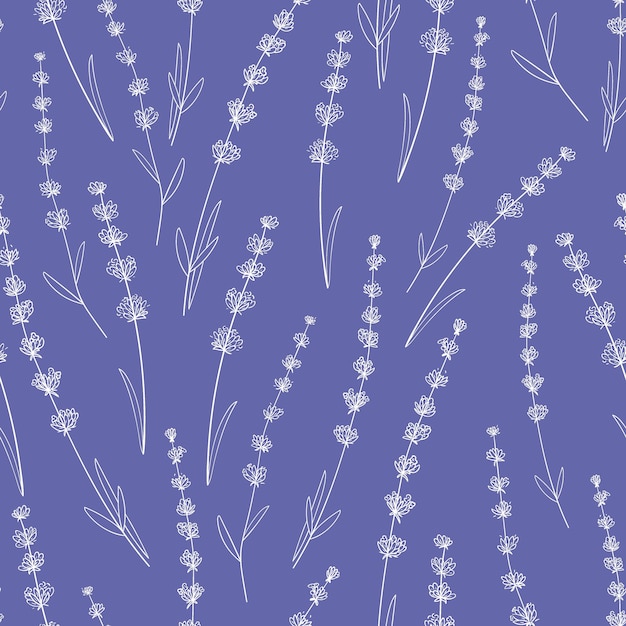 Seamless pattern with white lavender flowers on a Very peri color background Design for fabric