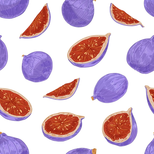 Vector seamless pattern with whole fig fruits and its cut pieces on white background. endless repeating texture with organic food in vintage style. colored hand-drawn vector illustration for printing.