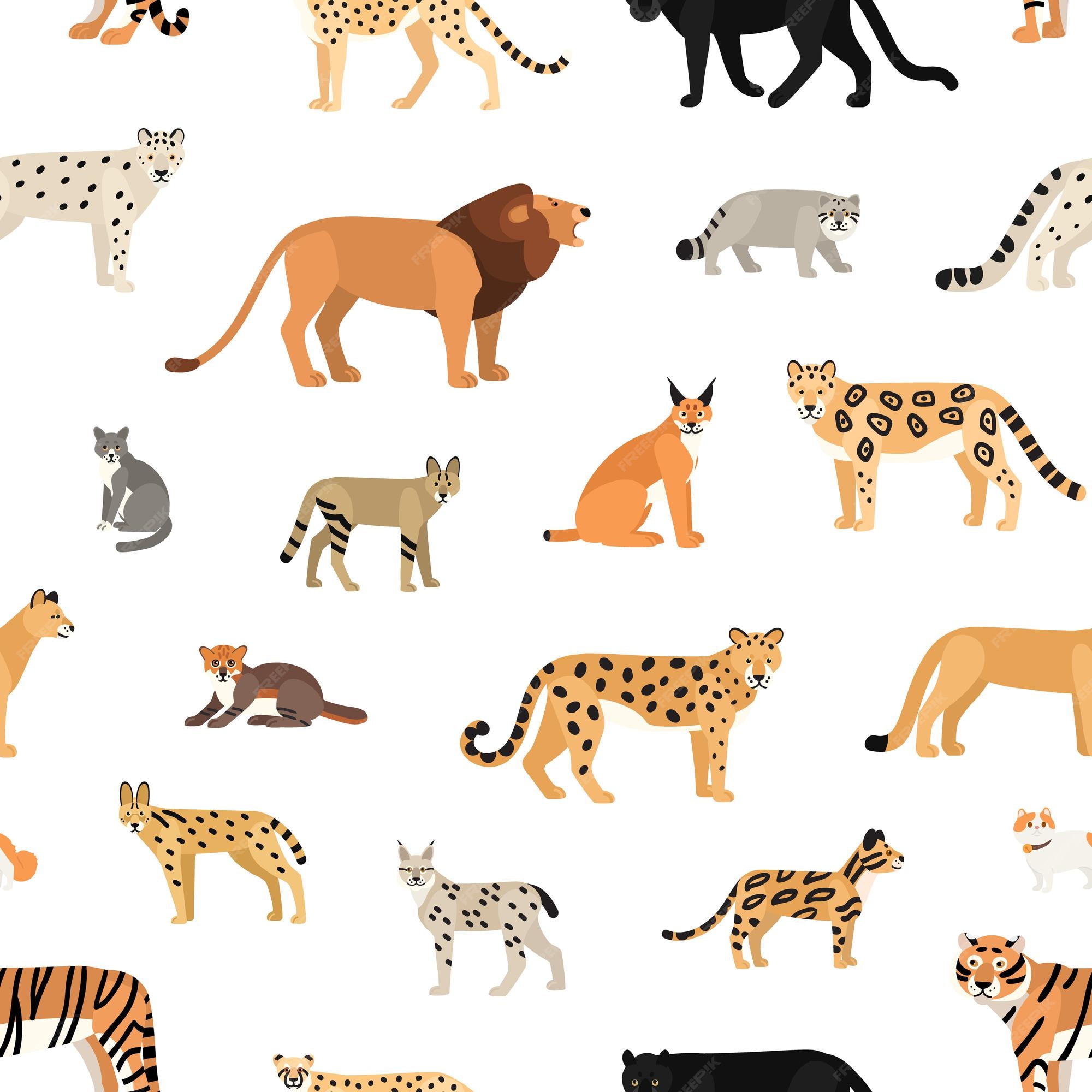 Premium Vector | Seamless pattern with wild cats on white background. backdrop with exotic carnivorous animals of felidae family. colorful vector illustration in flat cartoon style for wrapping paper, wallpaper. Premium Vector | Seamless pattern with wild cats on white background. backdrop with exotic carnivorous animals of felidae family. colorful vector illustration in flat cartoon style for wrapping paper, wallpaper.