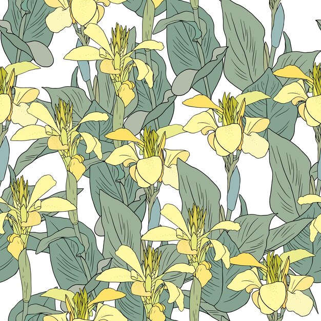 Seamless pattern with yellow canna lily on white background