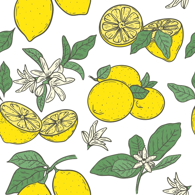 Seamless pattern with yellow lemon flowers and leaves vector illustration