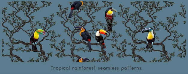 Seamless patterns of amazon tropical rainforest and colorful macaw birds.