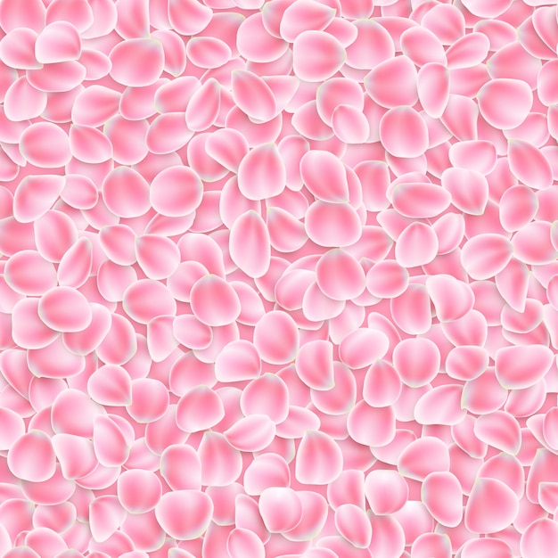 Vector seamless pink petals on white background.