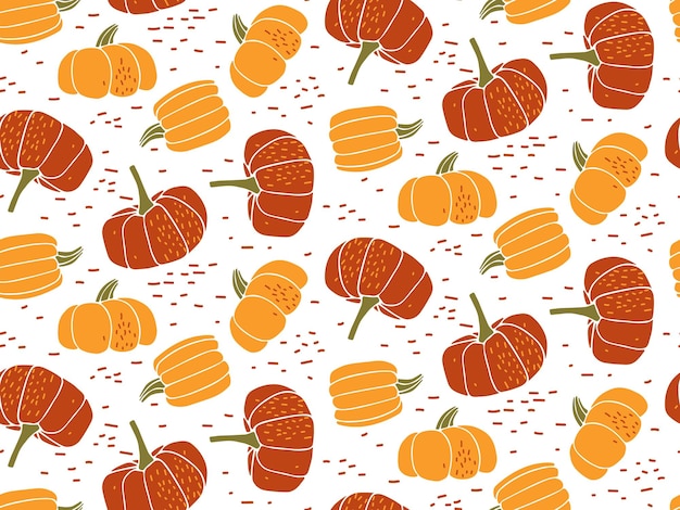 Vector seamless pumpkin sketch pattern, hand drawn vegetables on white background. thanksgiving, halloween